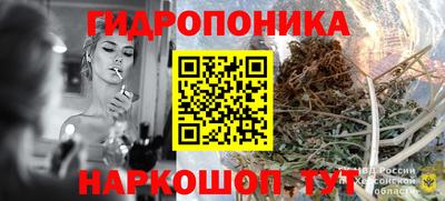 СК Лесосибирск