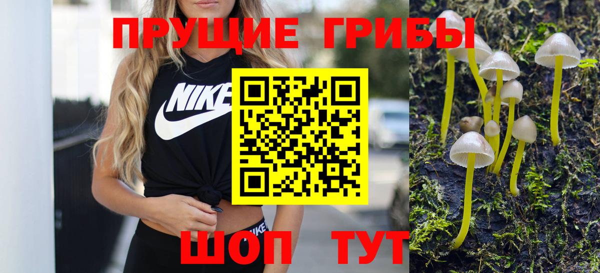 Галлюциногенные грибы Magic Shrooms  Вход с VPN  Ишим 